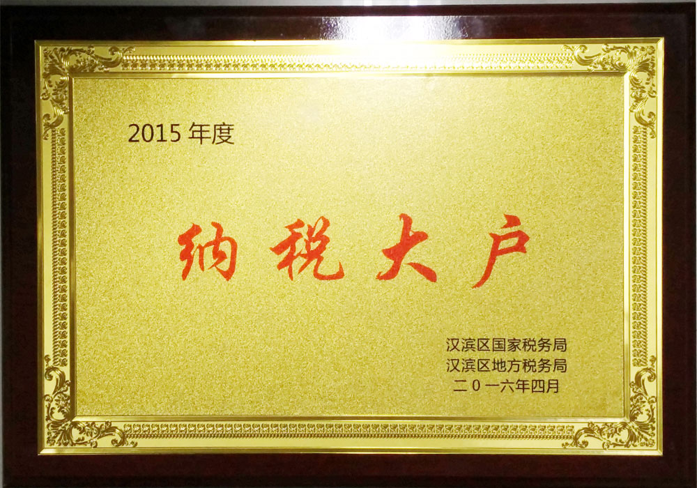  2015年漢濱區納稅大戶(hù)